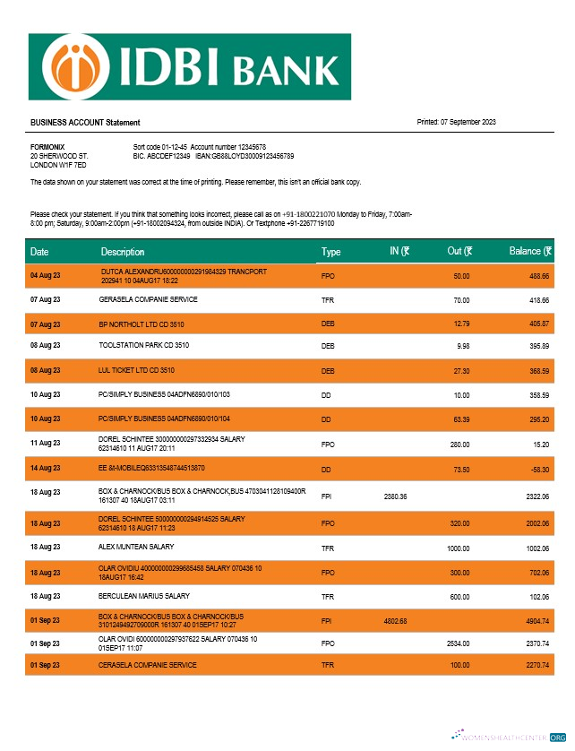 Download IDBI Bank enterprise account statement Word and PDF template Photoshop template